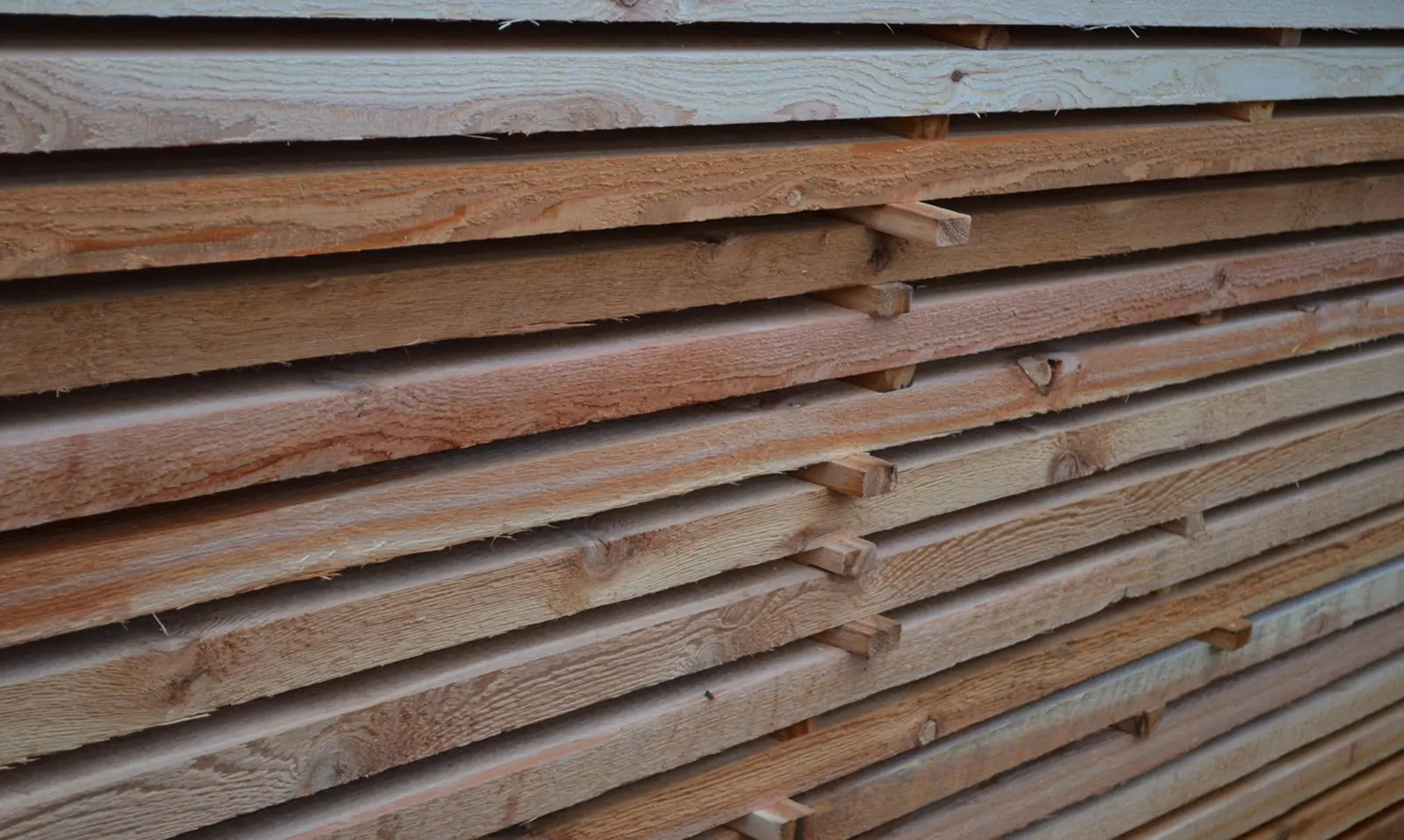 Freshly milled Western Red Cedar boards sticker-stacked for air drying at the Enderby mill